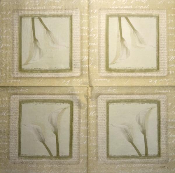 035 Calla - 3-ply